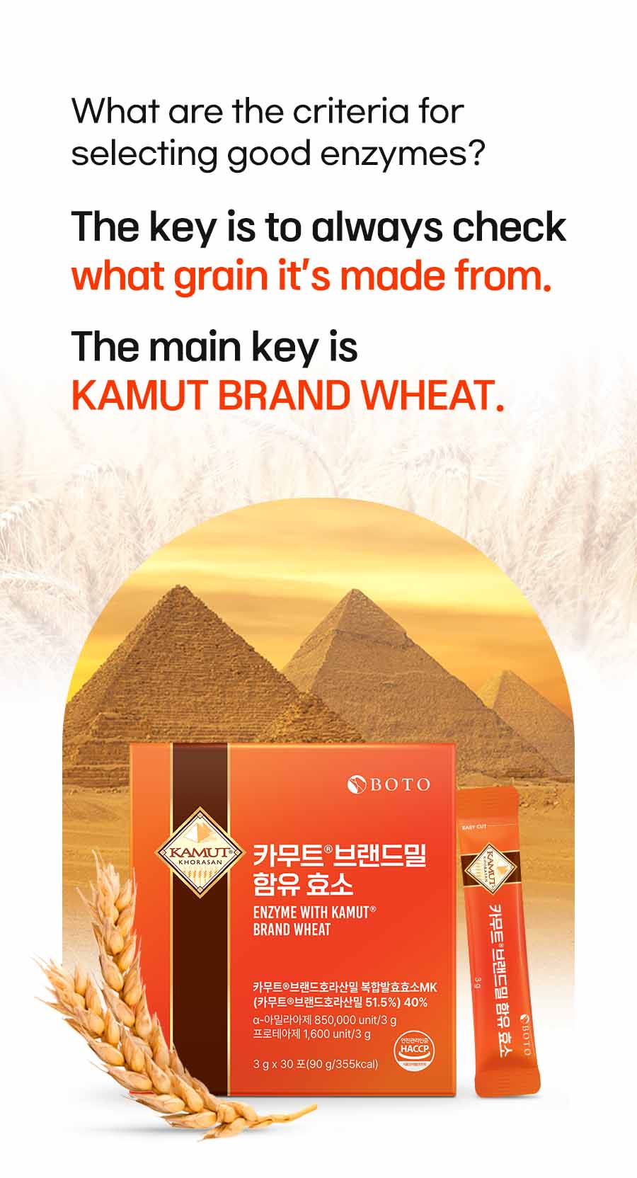 New KAMUT® Brand Wheat Enzymes for Diet and Health