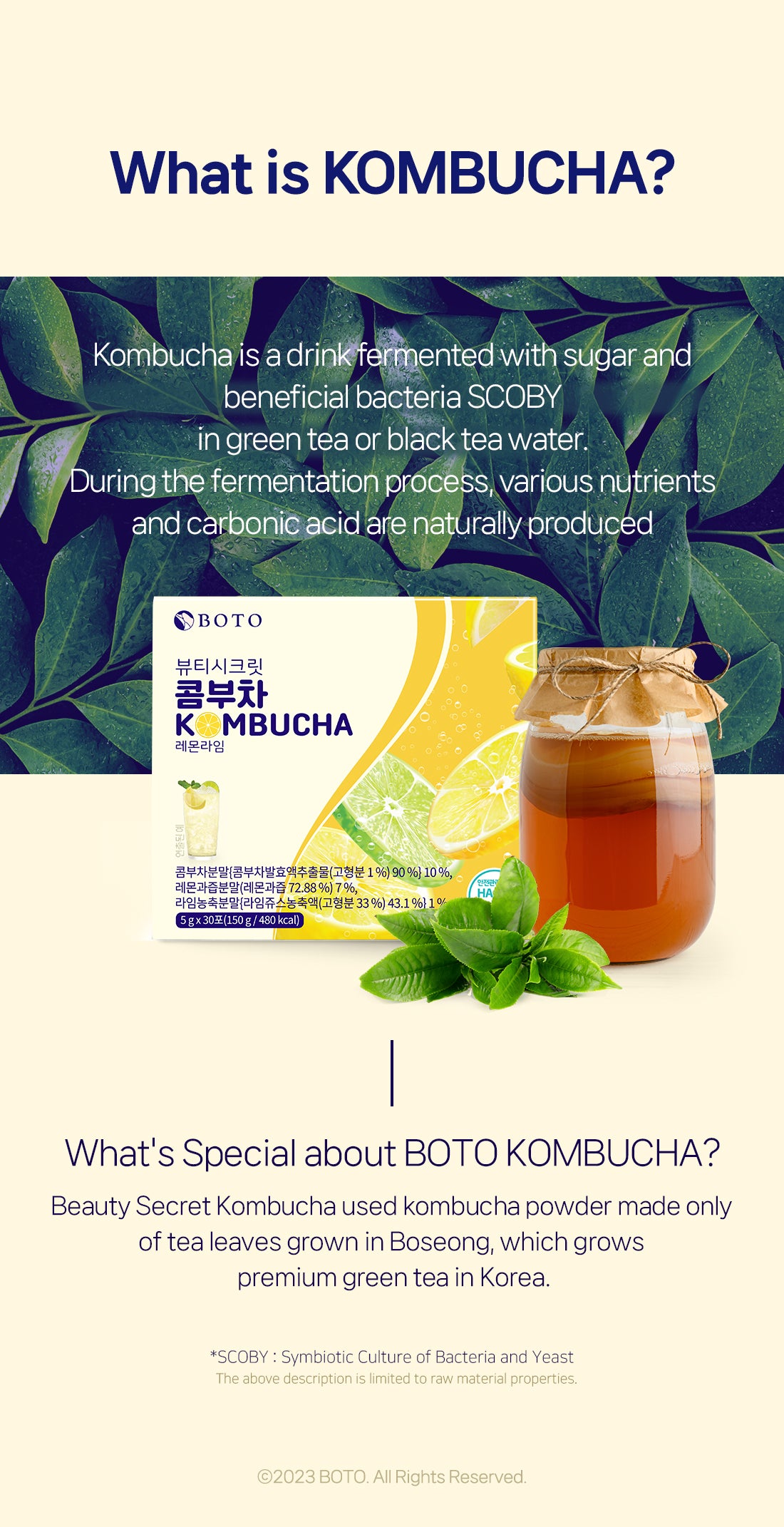Beauty Secret Kombucha whit Lemon&Lime Flavor 5g x 30p