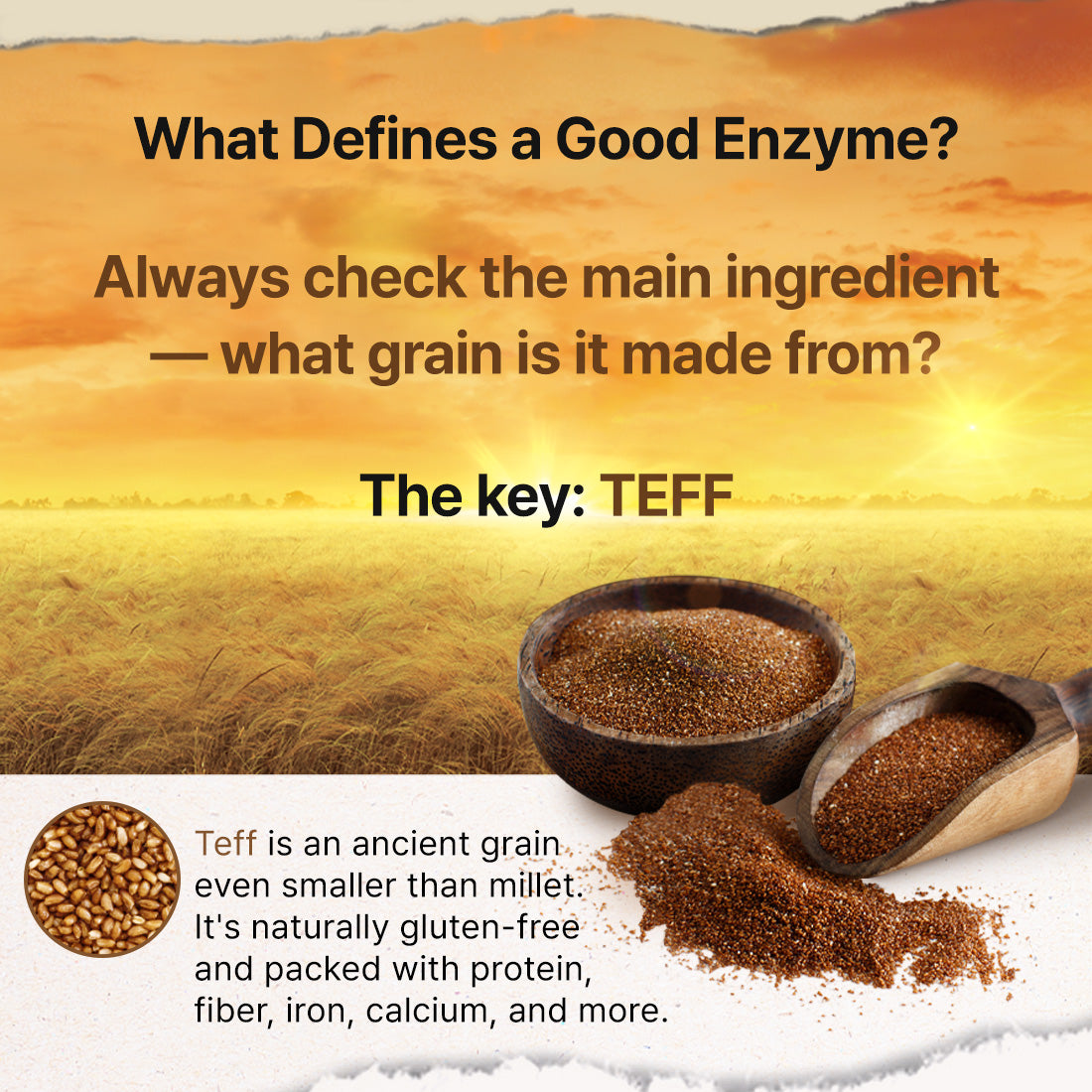 Teff fermentation enzyme 3g 30p