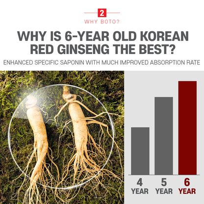 6 years Korea Red Ginseng Sticks  [10ml x 30 sticks]